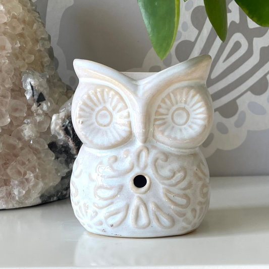 Ceramic Owl Oil and Wax Melt Burner - Sage, Natural or Gris
